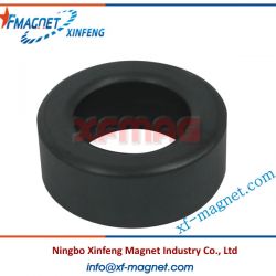 Ring Ceramic Magnet