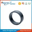 Radial Ring Permanent Magnet