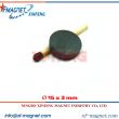 Small Disc NdFeB Magnet