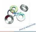 Silver Coating Ring NdFeB Magnet