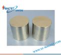 Permanent Magnet Coated With Nickel
