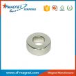 Rare Earth Magnet Motor